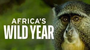 Africa's Wild Year — foto 4