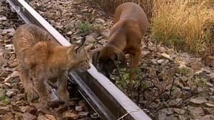 Madla a Ťap — foto 1