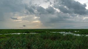 Last of the Shrimpers — foto 3