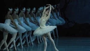 Swan Lake — foto 3