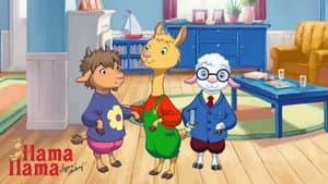 llama llama — foto 1
