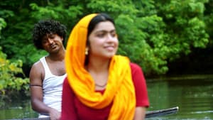 കാറ്റ് — foto 1