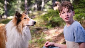 Lassie: Una nueva aventura — foto 5