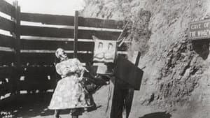 The Patchwork Girl of Oz — foto 2