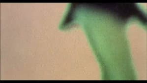 Julien Donkey-Boy — foto 8