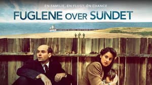 Fuglene over sundet — foto 1