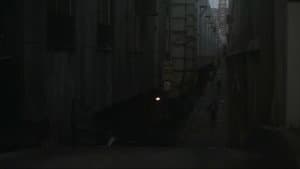 夜遊びの帝王 — foto 3