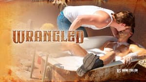 Wrangled — foto 3