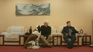 Sankt Bernhard Syndikatet — foto 2