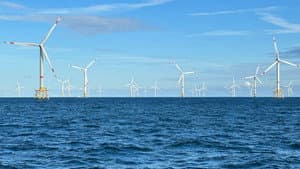 Windparks im Meer - Chance oder Risiko für die Natur? — foto 2