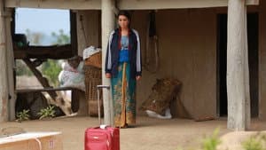 The Red Suitcase — foto 1