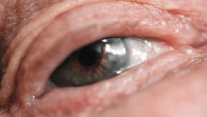 Das Verschwinden vor dem Inneren Auge — foto 6