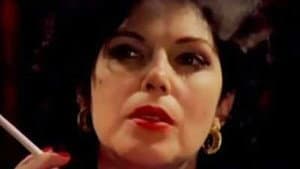 Stelinha — foto 1