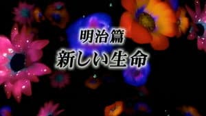 Episodio 13