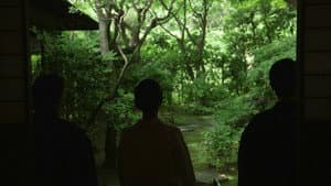 In Pursuit of Silence — foto 6