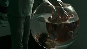Silentium — foto 1