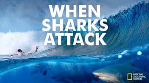 When Sharks Attack — foto 3