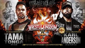 NJPW Wrestle Kingdom 17: Night 1 in Tokyo Dome — foto 9