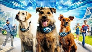 Cachorros Espaciales — foto 1
