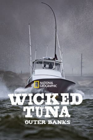 Temporada 8