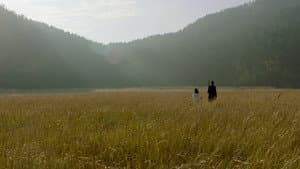 모르는 이야기 — foto 1