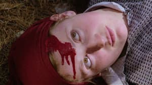 El extraño amor de los vampiros — foto 3