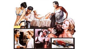 La moglie vergine — foto 1