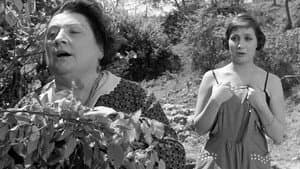 La nonna Sabella — foto 8