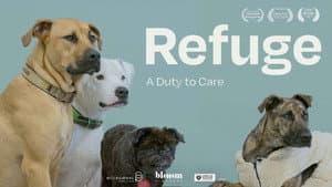 Refuge: A Duty to Care — foto 3