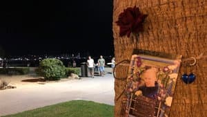 Mallorca: de nacht en de nasleep — foto 1
