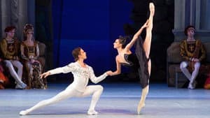 Swan Lake — foto 6