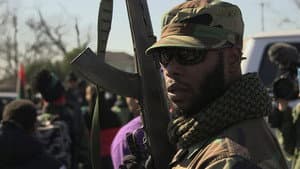 Black Power: America's Armed Resistance — foto 1