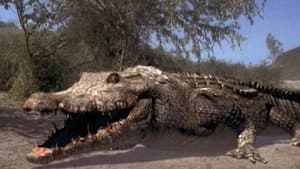 Cocodrilo — foto 12