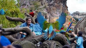 La Magia de Animal Kingdom de Disney — foto 3