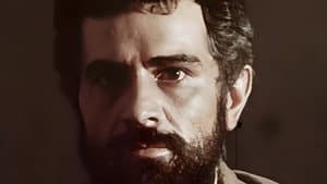 Գիշերվա մեջ առկայծող կրակը — foto 1