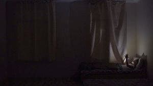 Бумажные звезды — foto 3