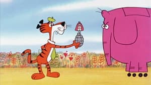 Cool Cat — foto 1