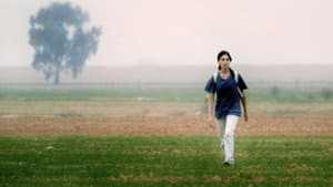 על כלבים ואנשים — foto 2