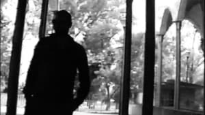 TRANSMUTIS: o de cómo los sueños quebrantan el silencio — foto 1