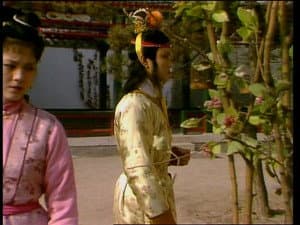 Episodio 31