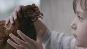 The Chicken — foto 2