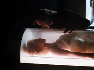 Episodio 14