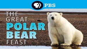 The Great Polar Bear Feast — foto 3