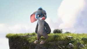 Bilby — foto 6