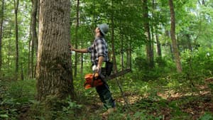 Leap of Faith — foto 1