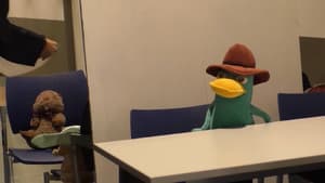 Ornithorynque Royale — foto 1