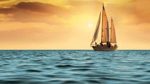 Safe Harbour — foto 6