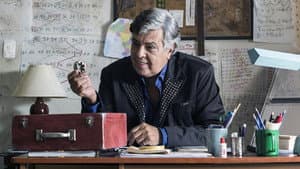 Magal y los Hormigas — foto 1