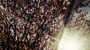 The Return — foto 4