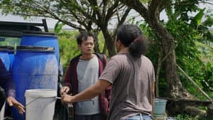 Ikan-Ikan — foto 1